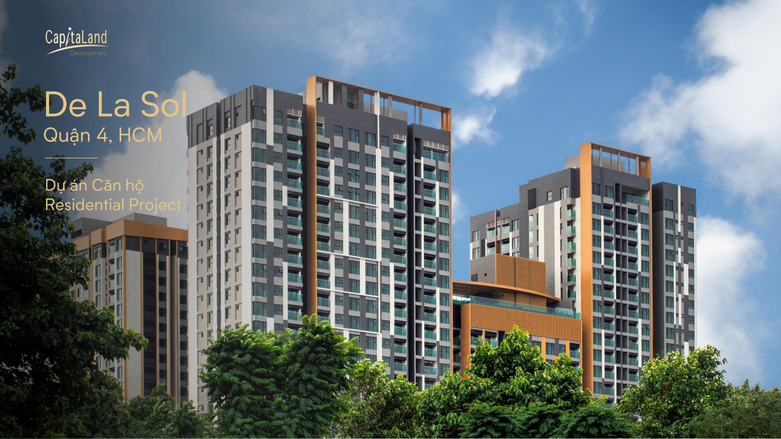 20240731 -Orchard Hill_Project Information-trang-hình ảnh-37