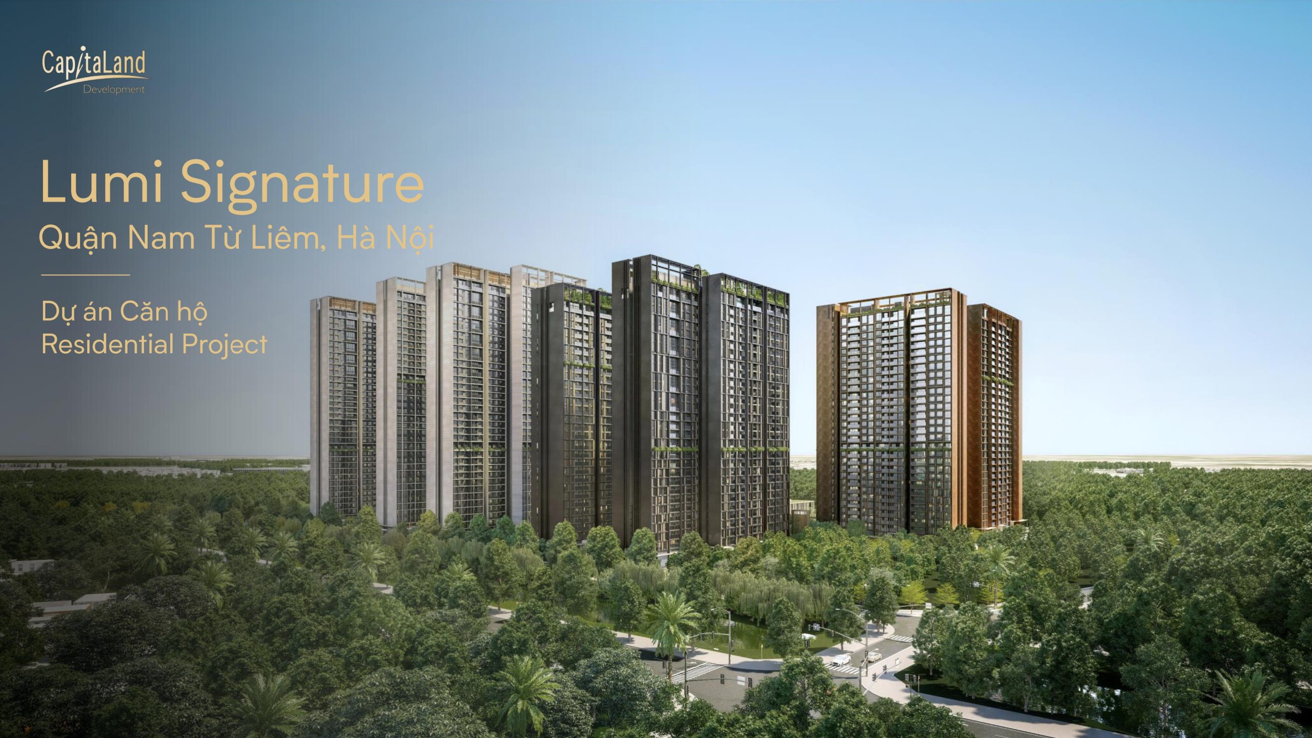20240731 -Orchard Hill_Project Information-trang-hình ảnh-44