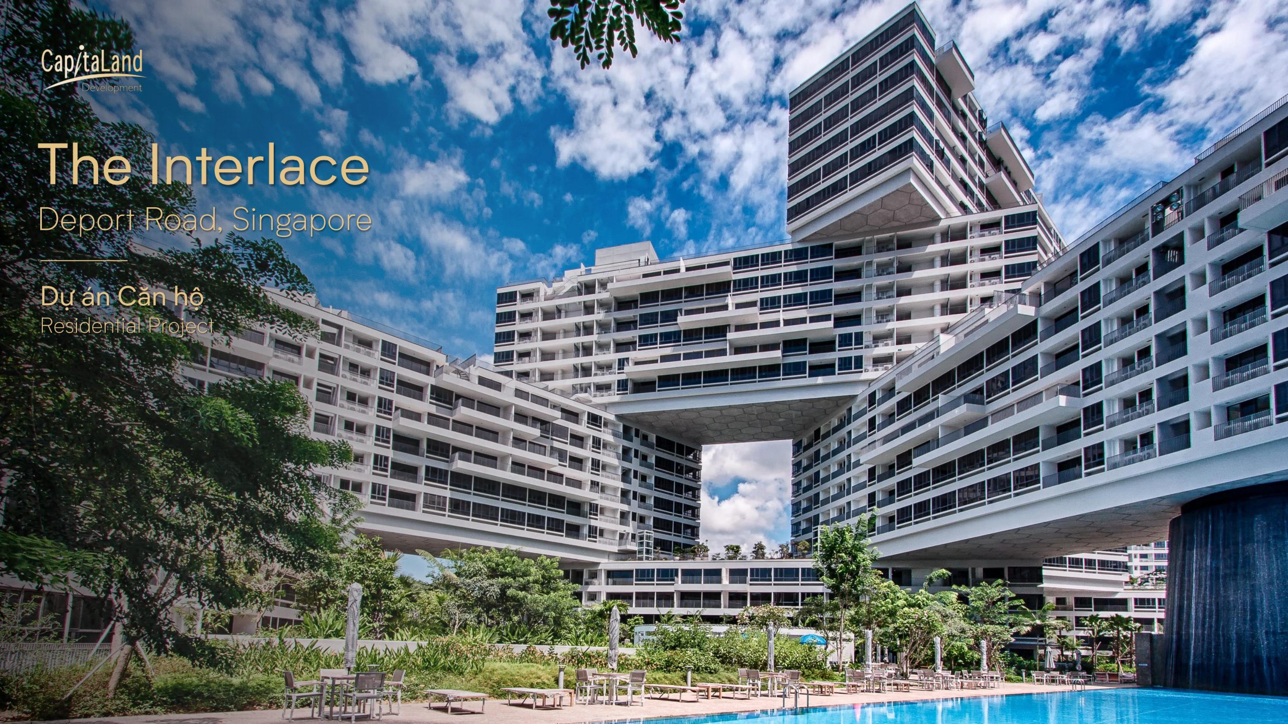 20240731 -Orchard Hill_Project Information-trang-hình ảnh-8